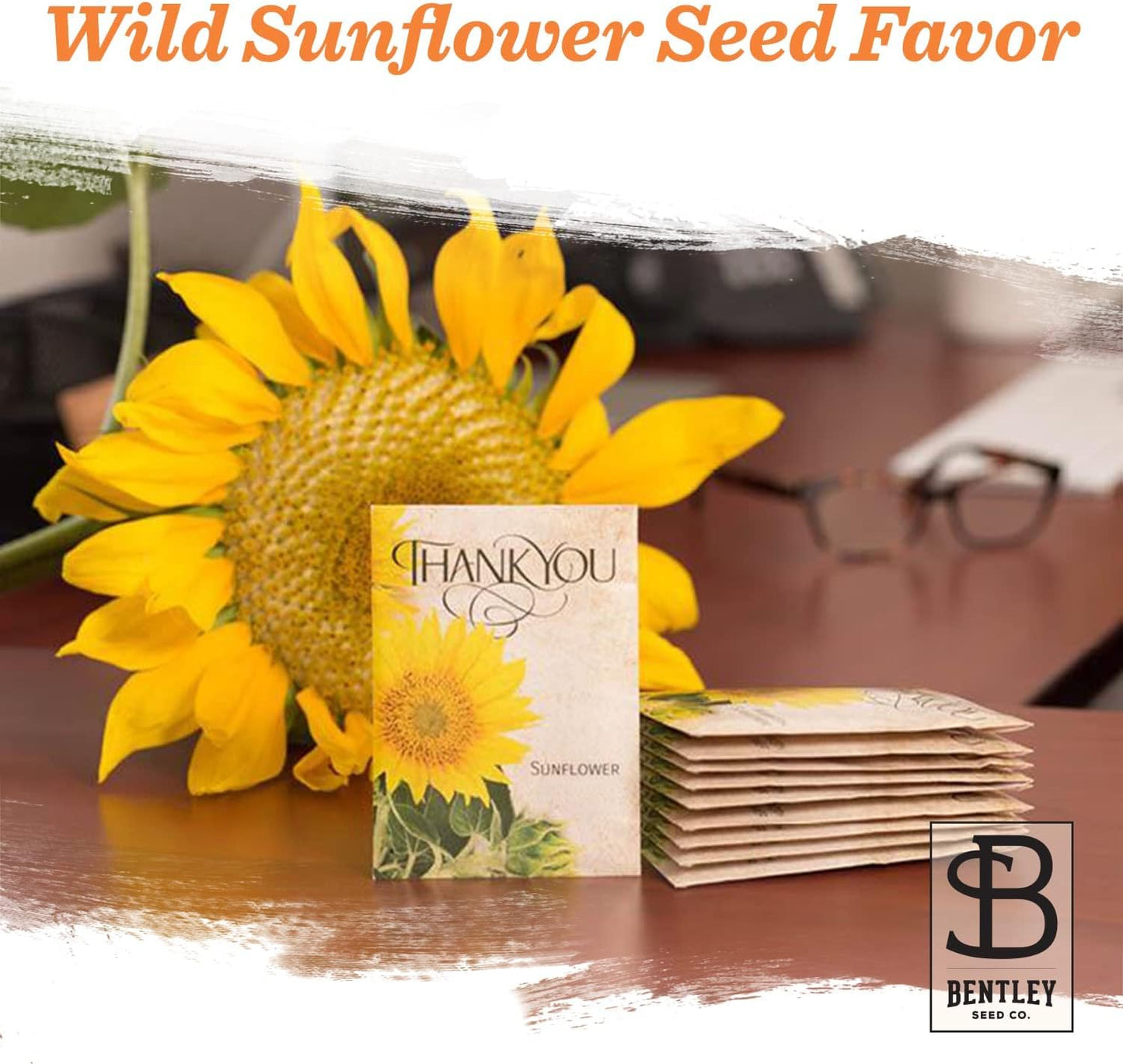 Sunflower Seeds - Pack of 25 - Perfect Eco-Friendly Thank You Gift - Non GMO