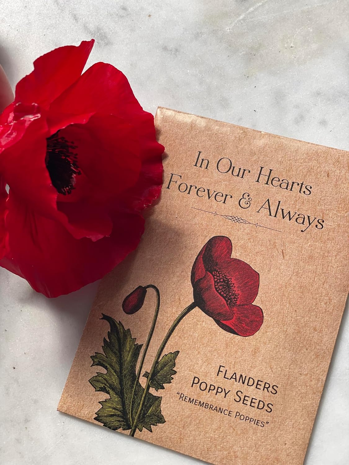 Celebration of Life Funeral Favors for Guests | Non-GMO, Non-Coated Flanders Poppy Seed Packets in Our Hearts Forever and Always | Sentimental Memorial Service Gift | Pack of 25