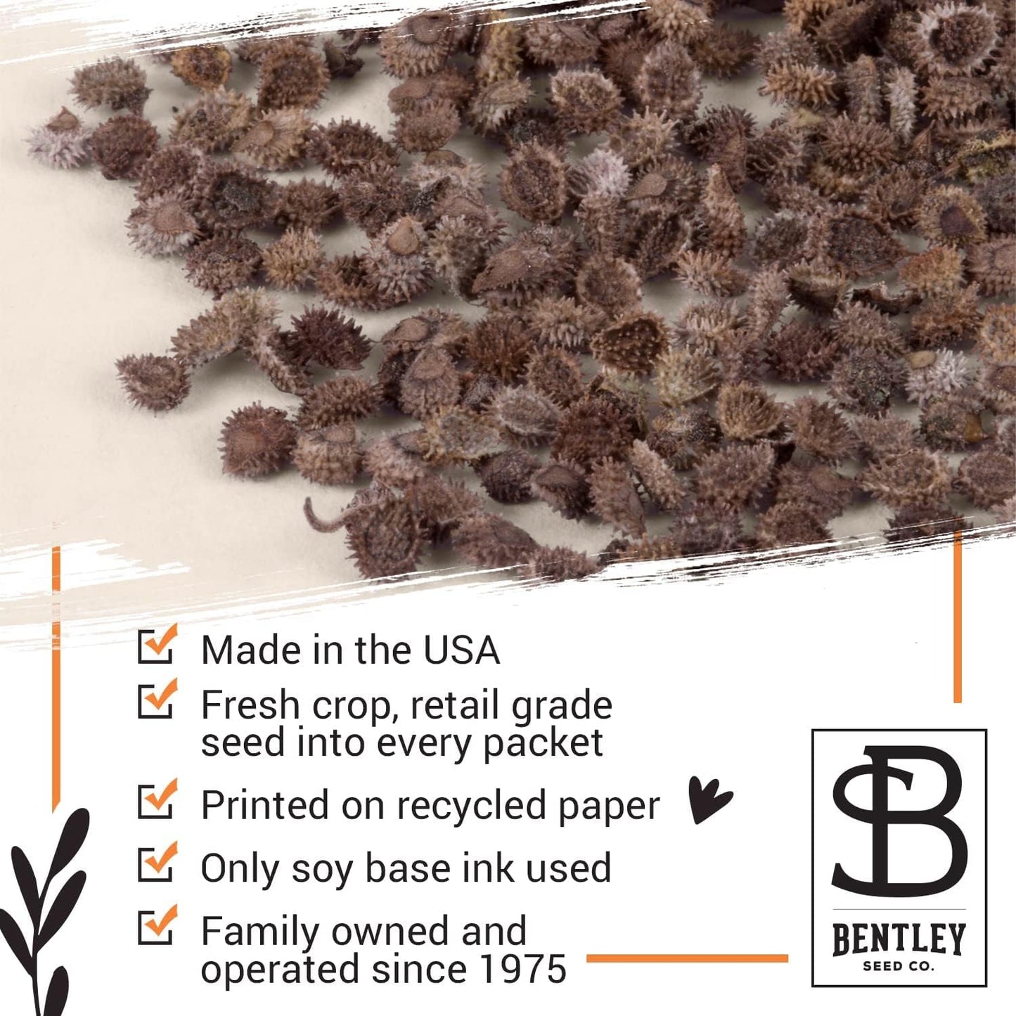 Sunflower Seeds - Pack of 25 - Perfect Eco-Friendly Thank You Gift - Non GMO
