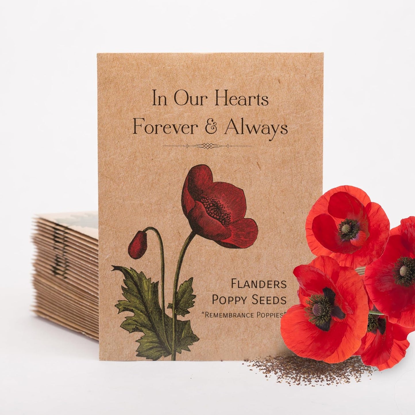 Celebration of Life Funeral Favors for Guests | Non-GMO, Non-Coated Flanders Poppy Seed Packets in Our Hearts Forever and Always | Sentimental Memorial Service Gift | Pack of 25